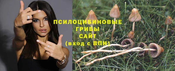 хмурый Балабаново
