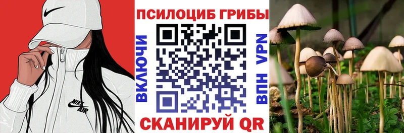 Галлюциногенные грибы мицелий Губаха