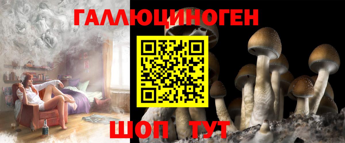 Псилоцибиновые грибы Psilocybine cubensis  Вход с VPN  Губаха 